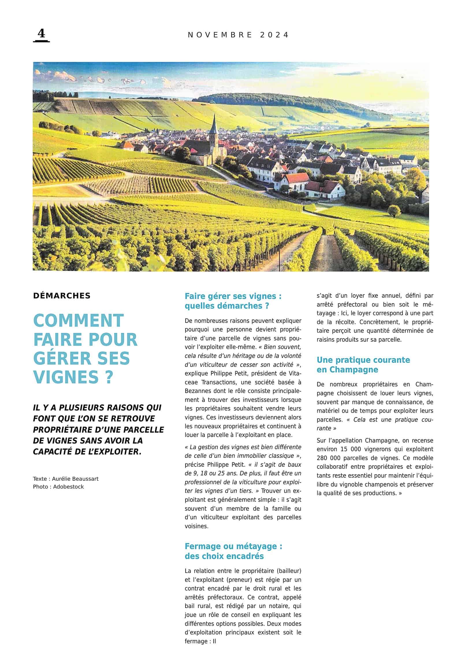 Article « Comment faire pour gérer ses vignes ? » publié dans La Marne en novembre 2024, avec Philippe Petit, président de Vitaceae Transactions