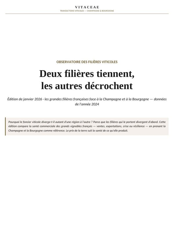 Observatoire VITACEAE des filières viticoles, édition de janvier 2026 : la santé commerciale des grands vignobles français comparée à la Champagne et à la Bourgogne