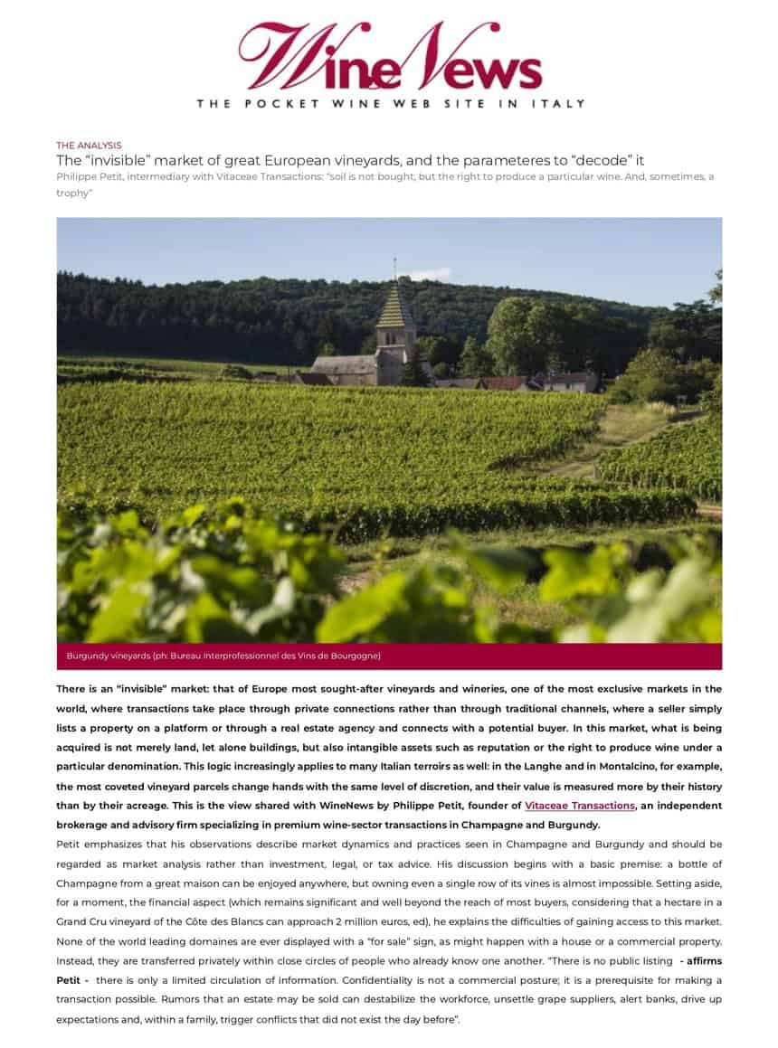 Article de WineNews citant Philippe Petit, VITACEAE, sur le marché off-market des grands vignobles européens